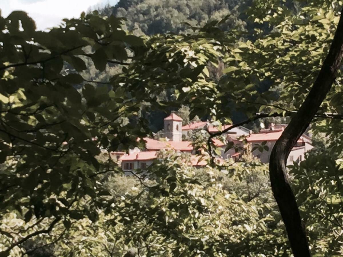 B&B Il Ghiro Castiglioni  Dış mekan fotoğraf