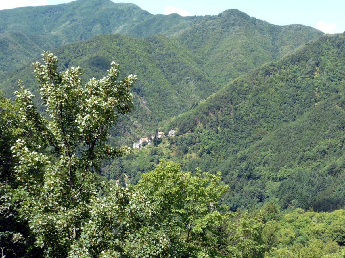 B&B Il Ghiro Castiglioni  Dış mekan fotoğraf