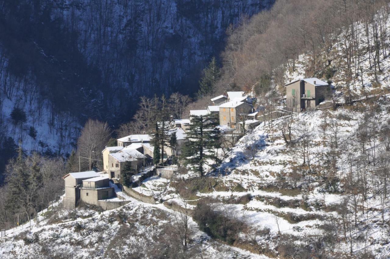 B&B Il Ghiro Castiglioni  Dış mekan fotoğraf